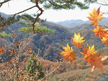 上海医药：I048临床试验申请获批，拟用于治疗精神分裂症|界面新闻 · 快讯